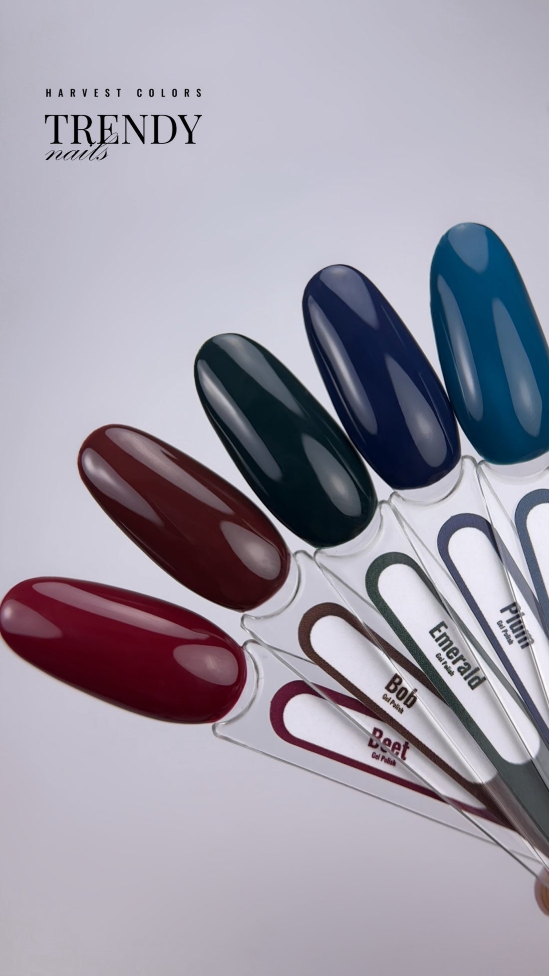 Coffret DEEP COLORS, 5 vernis semi-permanents 10 ml