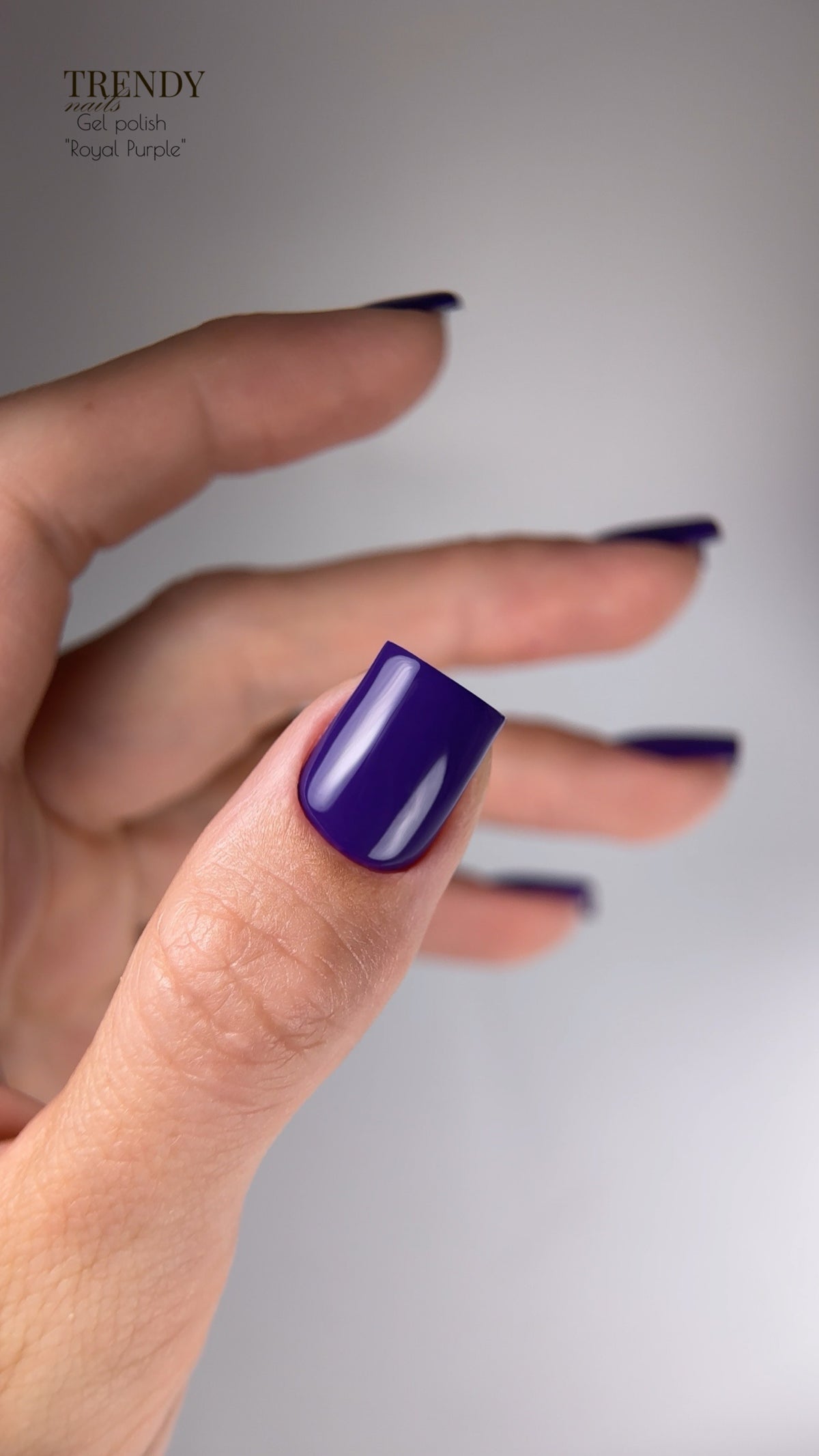 Gel Polish Royal Purple | Ultra Violet
