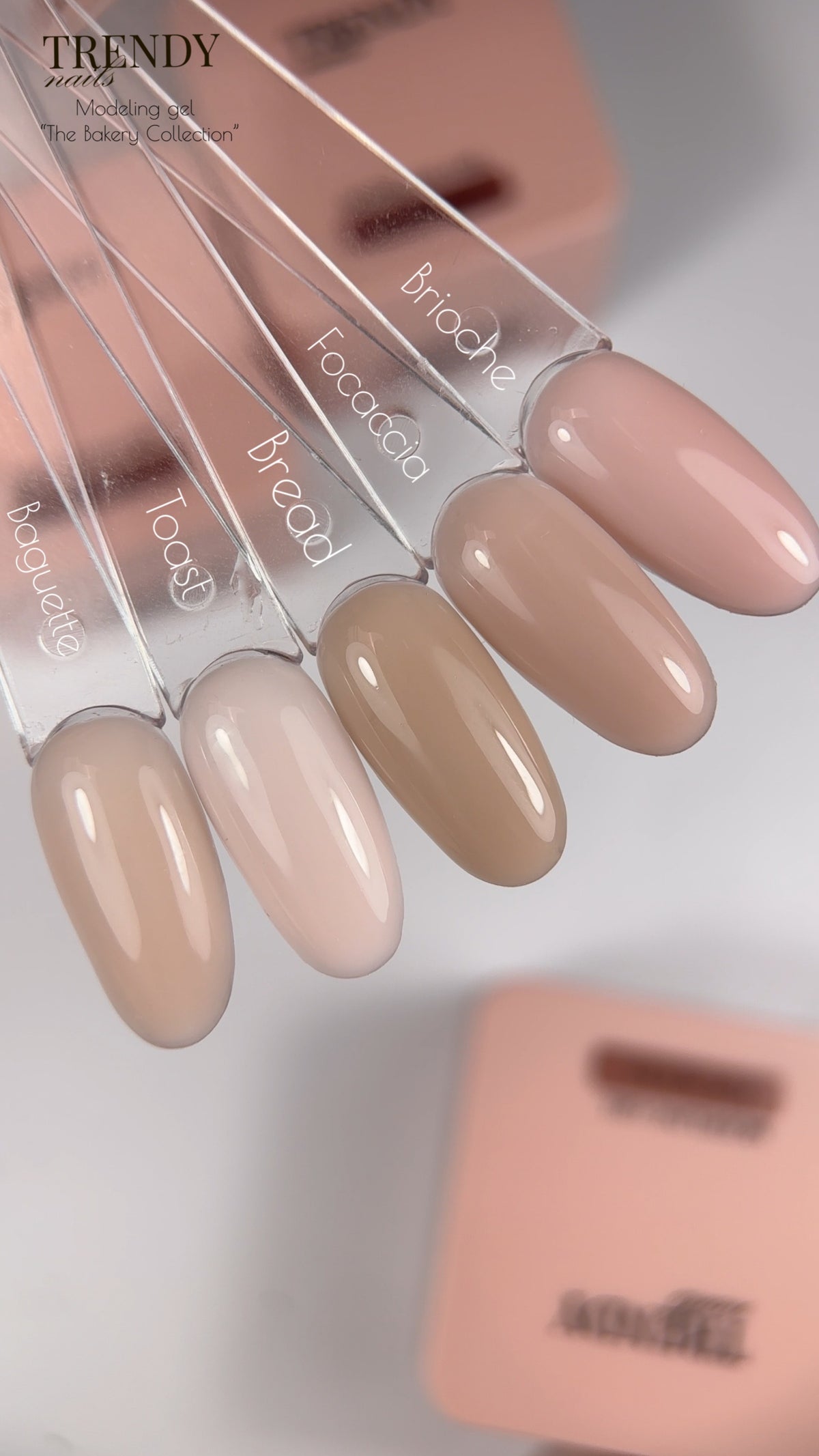 THE BAKERY COLLECTION – Modeling Gel