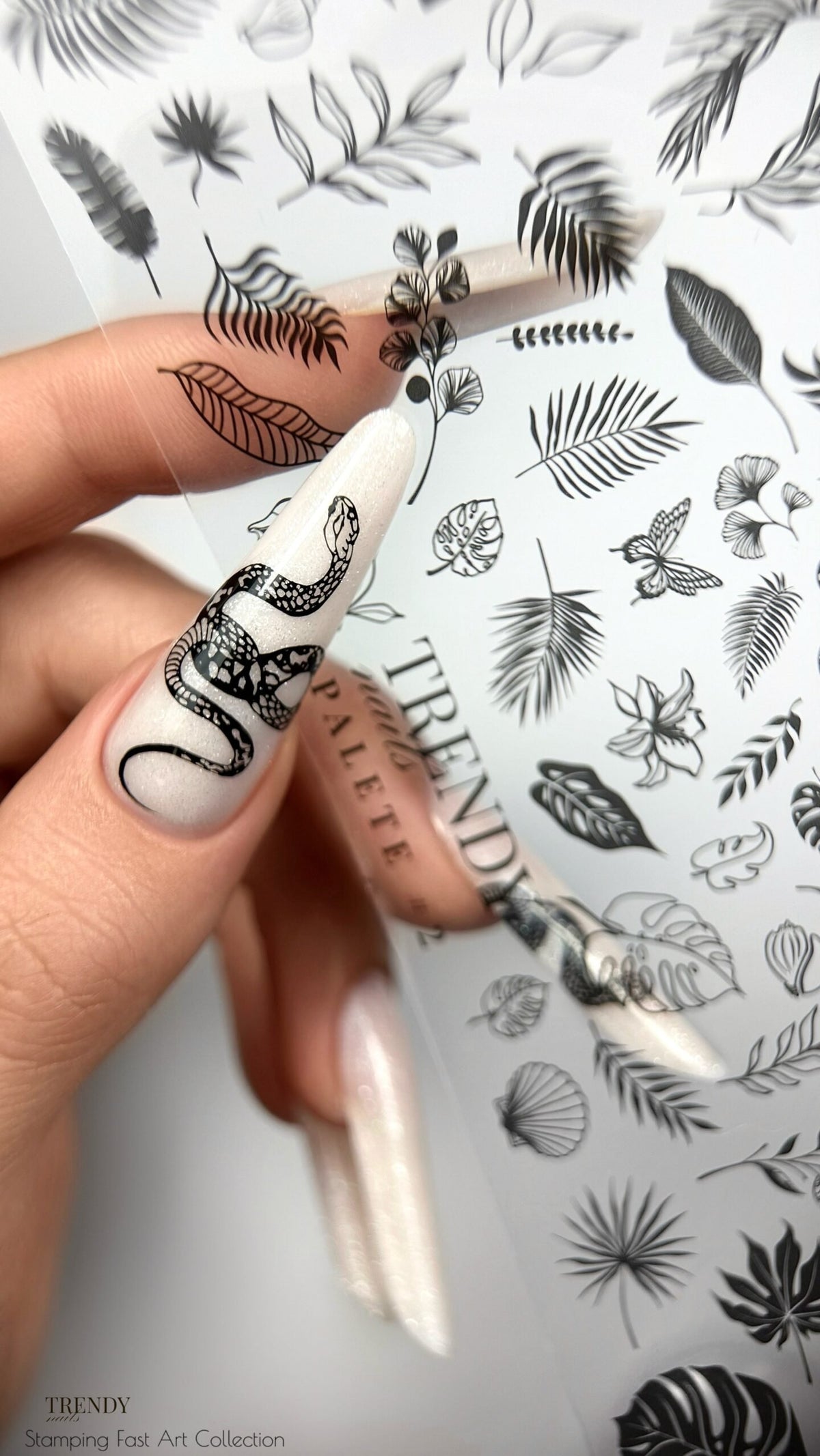Palette STAMPING N°3