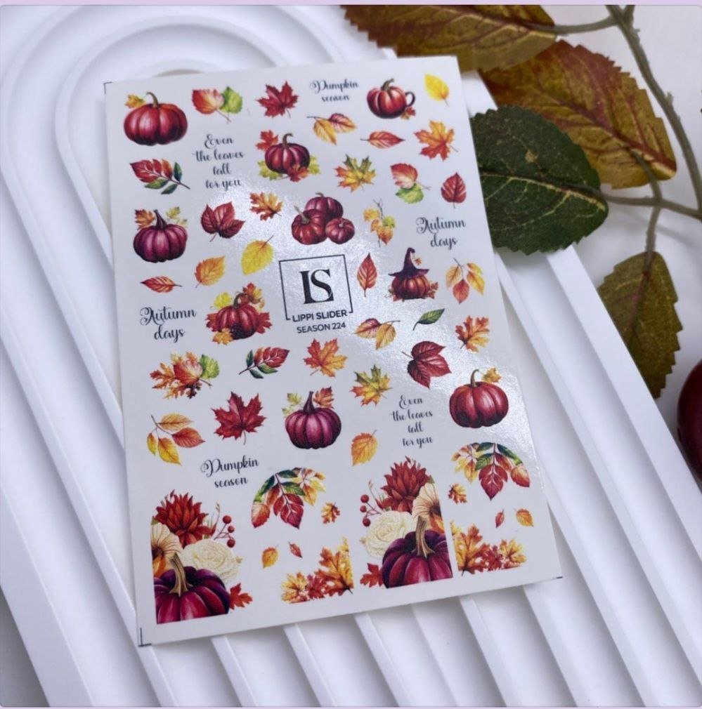Slider N° 224 - Automne