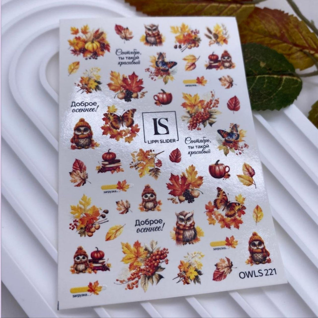 Slider N° 221 - French