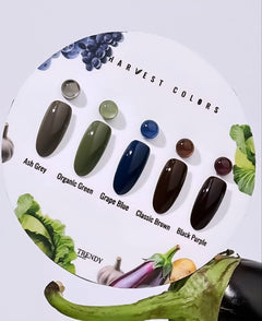 Classic Brown – 8 ml